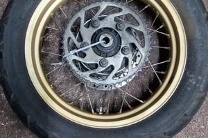 Cerchio / ruota posteriore  Africa Twin 750 1993