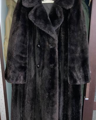 Pelliccia dí castorino