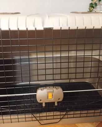 Trasportino cani taglia grande 