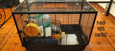 gabbia per roditori 