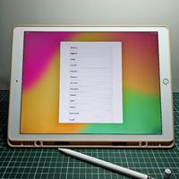 iPad Pro A1671 (12,9 pollici 512GB WiFi + Cell.)