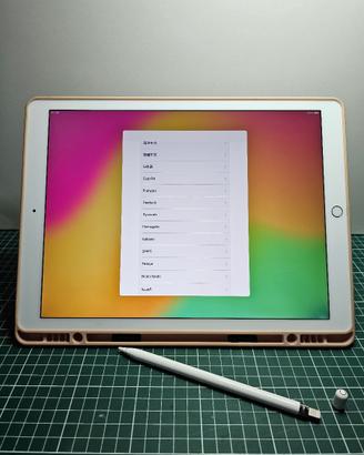 iPad Pro A1671 (12,9 pollici 512GB WiFi + Cell.)