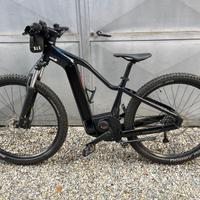 Bici elettrica bergamont erevox