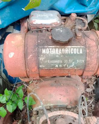 MOTOAGRICOLA SLANZI  DIESEL CON ERPICE