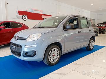 Fiat Panda 1.2 Pop UNICO PROP