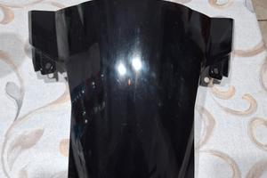 cupolino nero per bmw s1000rr 