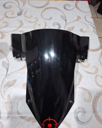 cupolino nero per bmw s1000rr 