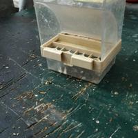 Mangiatoia a Dispenser