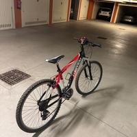 Bici MTB torpado