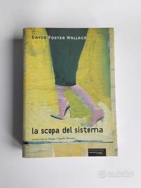 La scopa del sistema D. Foster Wallace, Fandango