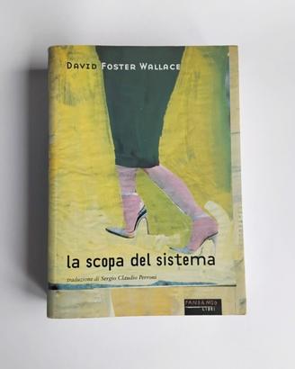 La scopa del sistema D. Foster Wallace, Fandango