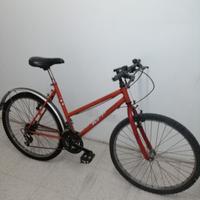 Bicicletta da uomo