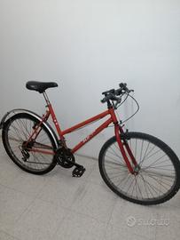 Bicicletta da uomo