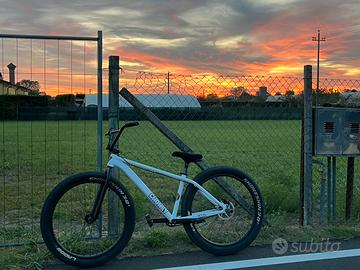 Whellie bike chonky