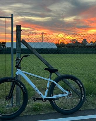 Whellie bike chonky