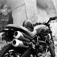 ducati scrambler 1100 sport pro