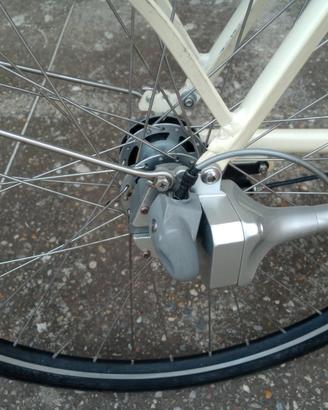 bici elettrica