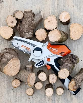 STIHL GTA 26 potatore a batteria 
