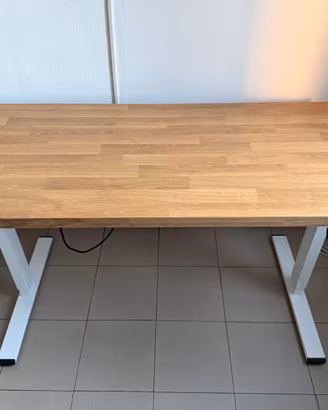 Scrivania regolabile Flexispot E1 + piano Ikea