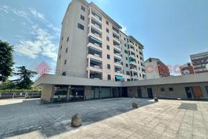 Negozio Opera [Cod. rif 3270683VCG]