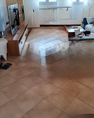 Posto letto - Cesano Boscone (400 tutto incluso)