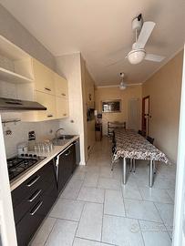 Appartamento bi locale libero