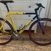 Bicicletta corsa