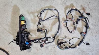 Cablaggio Mercury Yamaha 115cv