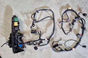 Cablaggio Mercury Yamaha 115cv