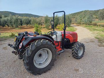 Legi bene il annuncio