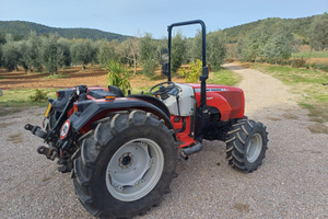 Legi bene il annuncio