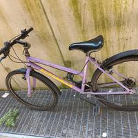 Mountain bike 26