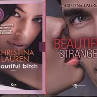 Beautiful Bastard serie