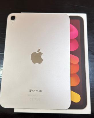 iPad Mini (A17Pro)