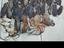 Immagine 3