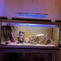 Acquario Aquatlantis 250 litri