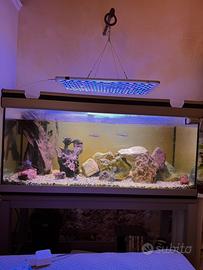 Acquario Aquatlantis 250 litri