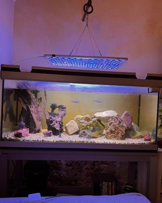 Acquario Aquatlantis 250 litri