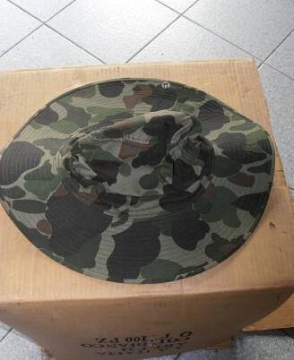 Legione francese indocina us macv bonnie/jungle ha