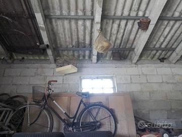 BICICLETTA DONNA ANNI 60