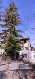 Casa Rustica Immersa nel verde Borgo Antico