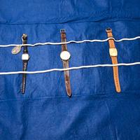portaorologi