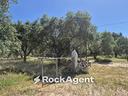 rustico-casale-di-35-m²-con-1-locale-a-andria