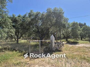 Rustico / Casale di 35 m² con 1 locale a Andria