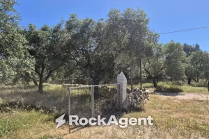 Rustico / Casale di 35 m² con 1 locale a Andria