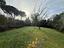 Immagine 16
