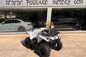 Lem hummer 200 targato a 50 euro al mese