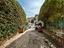 Immagine 15