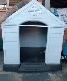 casetta per cani