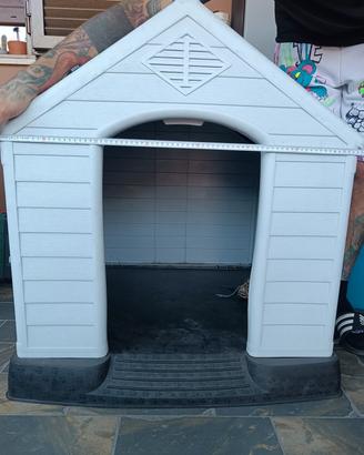 casetta per cani